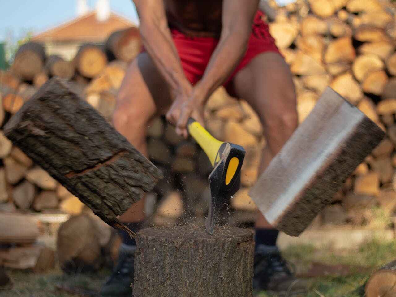 Best Tree Cutting Near Me  in Ludington, MI